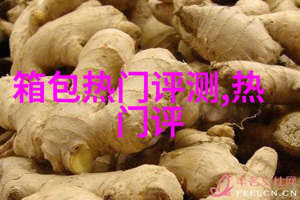 穿耳穿耳骨