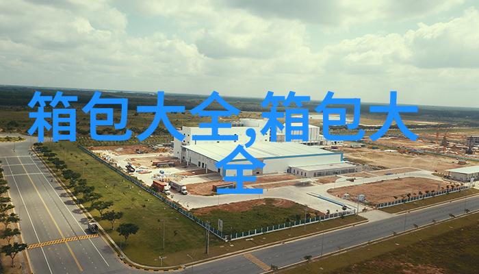 谁可以帮我介绍一下lv波士顿