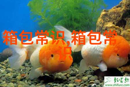 苏醒了猎杀时刻什么梗表情包