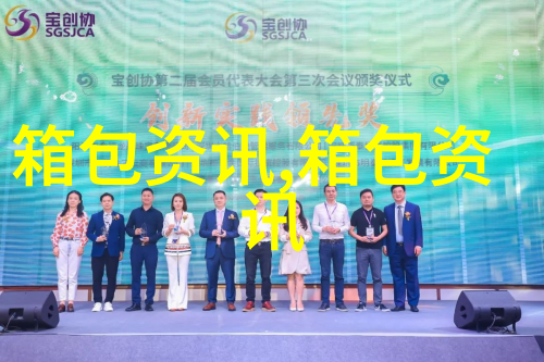 c大丈夫李小冉同款包包