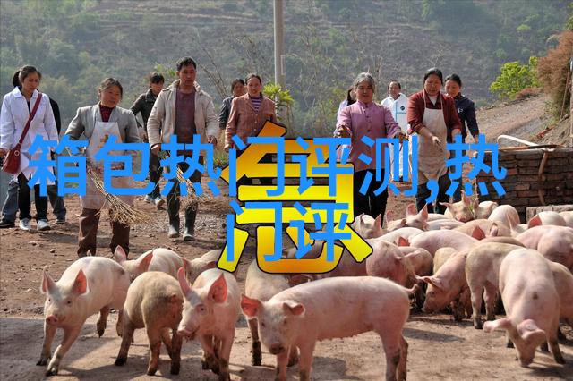 打完耳洞过多久 可以不用再酒精消毒